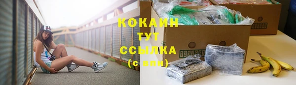 шишки Рославль