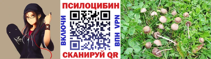 Галлюциногенные грибы Magic Shrooms  Балашов 