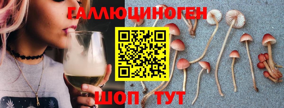 Псилоцибиновые грибы мицелий  Псилоцибиновые грибы ЛСД  Вход с VPN  Балашов 