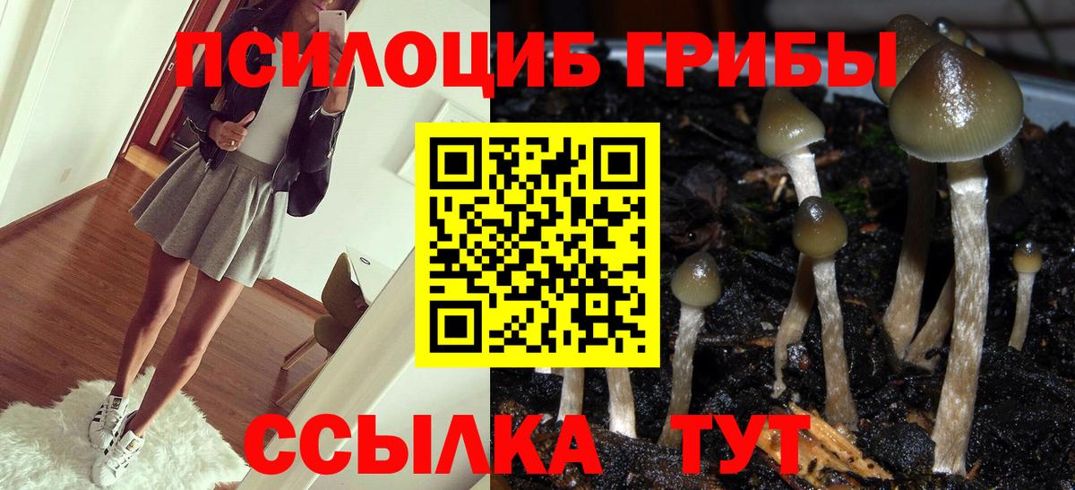 Галлюциногенные грибы прущие грибы Балашов
